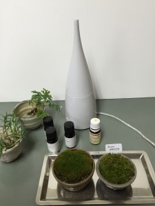 抗菌ｱﾛﾏ
